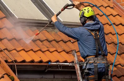 Démoussage et hydrofuge de toiture à Saint-Alpinien